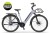 Miejski rower elektryczny Ecobike LX 100 Automatic Pearl z przednim koszykiem i ubezpieczeniem w cenie