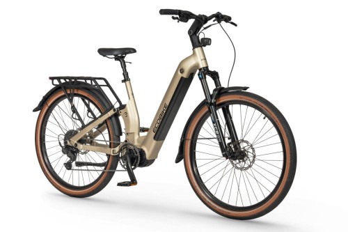 Low step full suspension elektryczny Ecobike Flex titan