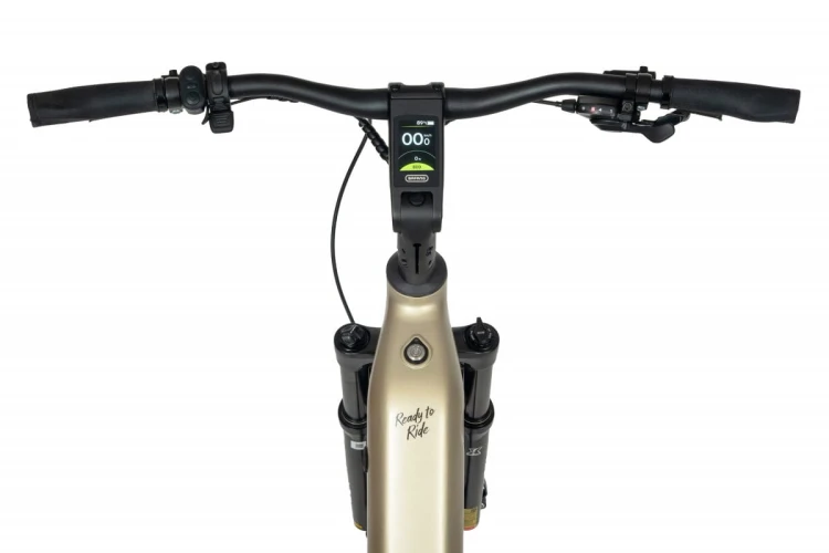 Ecobike Flex titan kokpit
