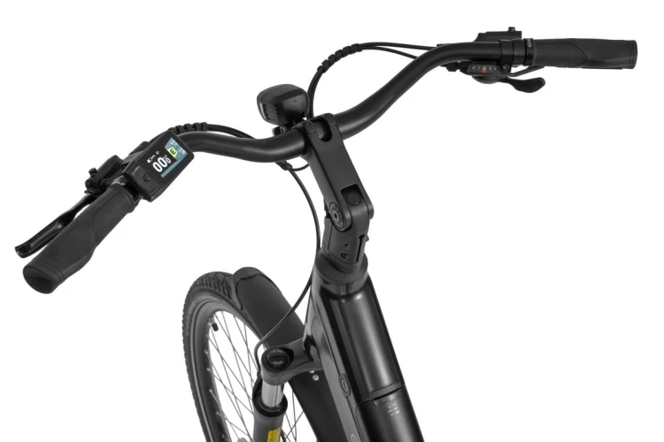 Ecobike LX100