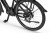 Rower Ecobike LX100 czarny