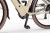 Rower elektryczny ECOBIKE X-City Cappuccino 630Wh – centralny silnik elektryczny i mechanizm korbowy