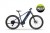 Rower elektryczny ECOBIKE RX500 960Wh 21" niebieski – bagażnik, błotnik i siodełko